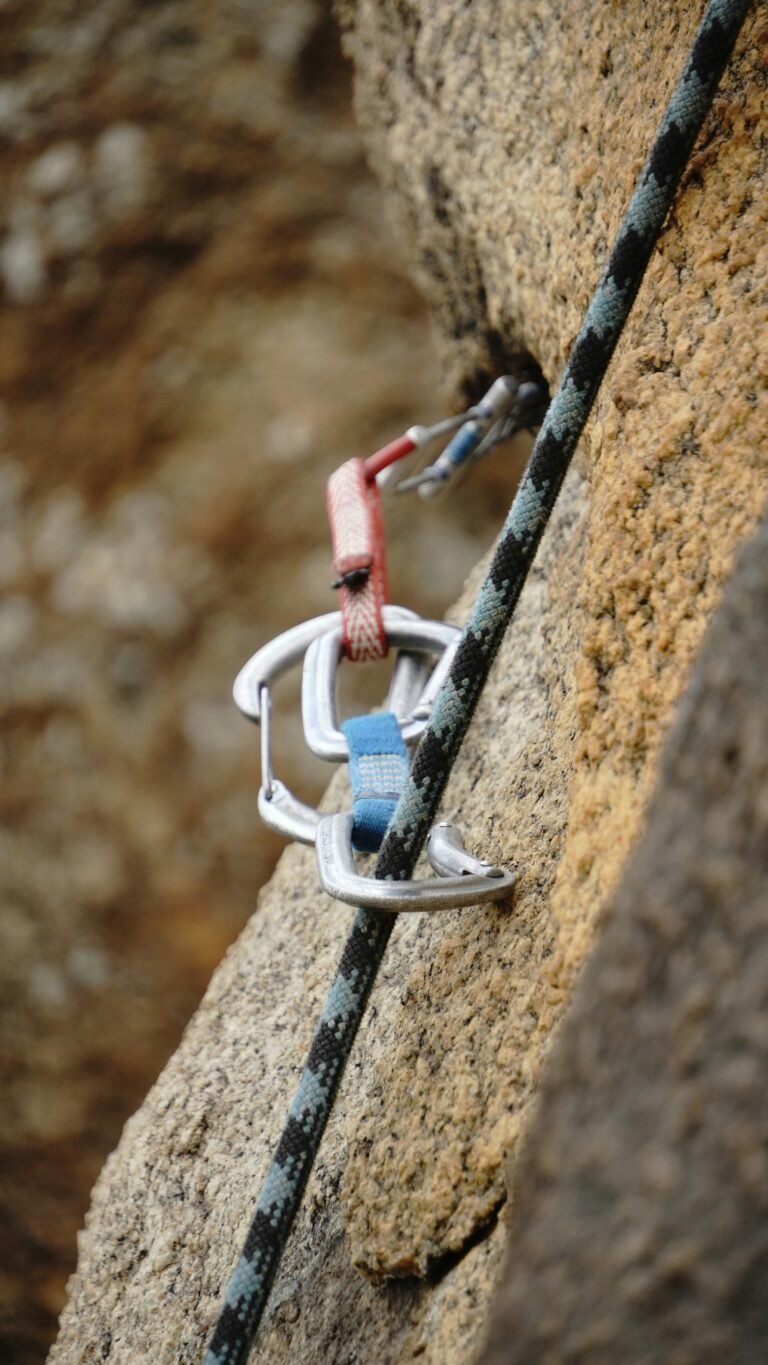 Primer plano de una cuerda de escalada y varios mosquetones asegurados a una pared de roca.